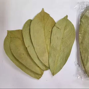 Vente en gros au Vietnam: sachets de thé en poudre d'extrait de feuille de corossol séché au meilleur prix - Product Image 1