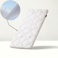 Matelas Étudiant 4D Air Fiber Respirant, Tapis Rafraîchissant Lavable pour Bébé et Animaux, Base de Lit Saine pour Dortoir