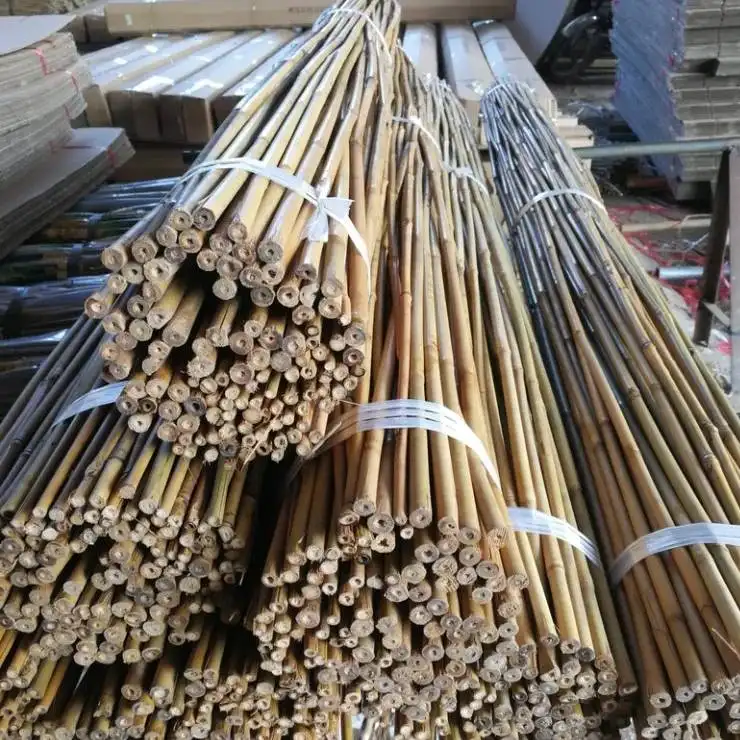 Tiang Bambu Lurus untuk Konstruksi & Dekorasi Tiang Bambu Kuat Alami dari Vietnam Kualitas Tinggi Harga Murah
