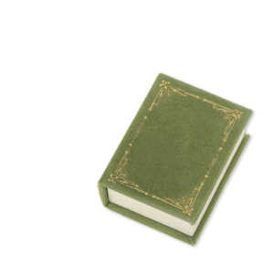 Jeulia Vintage Grass Green Magnetic Flip-Top <b>Book</b> Necklace <b>Box</b> Rectangle Shape - Product Image 1