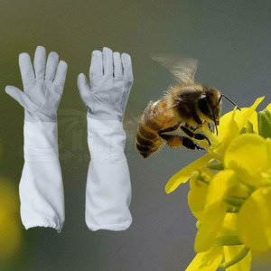 Nouvelle Arrivée Meilleure Vente En Ligne Gants D'apiculture Utilisation De Formation Gants D'apiculture Disponibles En Stock - Product Image 3