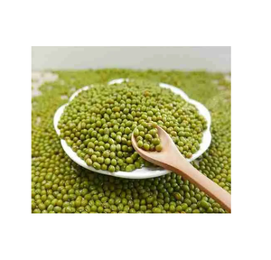 Frijoles mungo de calidad premium disponibles a granel a la venta a precios económicos, ideales para compradores mayoristas y exportaciones de todo el mundo - Product Image 3