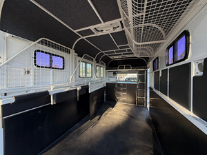 Remorque à chevaux EuroFloat 2HAL Eventer Prestige, neuve, pour 2 chevaux, chargement en angle, 3500 kg, en aluminium, remorque équestre, remorque pour chevaux, remorque pour animaux - Product Image 5