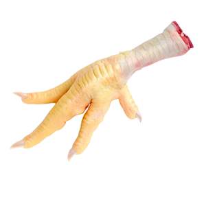 Pieds de poulet congelés nettoyés, blanchis et emballés pour l'exportation Riche en collagène Idéal pour les soupes, les collations et la transformation des aliments - Product Image 2