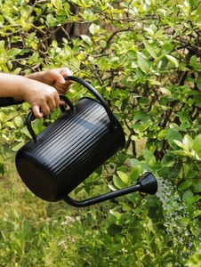 Regadera de Caña Negra para Plantas, Regadera Galvanizada Decorativa y Jarra para Accesorios de Jardín y Hogar - Product Image 2