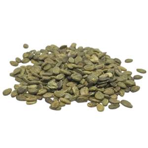 Semillas de Sandía PCA Premium F1 de Alta Calidad para Venta al por Mayor, Hechas a Mano en Indonesia, 6 Meses de Vida Útil, Listas para Plantar - Product Image 1