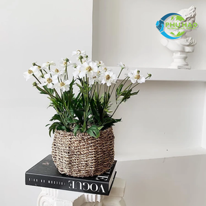 Versátil cesta vietnamita de mimbre, ratán, algas marinas, con marco de hierro para árboles de flores, exhibición de plantas y organización del hogar - Product Image 5