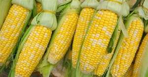 GOÛT NATUREL À BASE DE PLANTES DE MAÏS SUCRÉ PUR CONGELÉ - Product Image 5