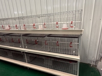 Nouvel équipement commercial de cages à volailles de type H en acier galvanisé, système d'élevage de poulets, solution d'alimentation automatique, nettoyage facile
