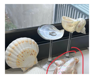 Verres à Martini coquillages tendance 2025 verres à vin coquillages cadeaux de demoiselle d'honneur de mariage - Product Image 1