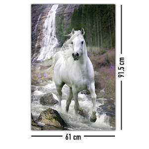 Grey Horse Canvas <b>Poster</b> with Black Frame for Wall Decor - Product Image 3