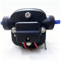 Pompe à eau portable Mambaflo FL-35 12V DC, 12,5 LPM, pompe à diaphragme pour camping-car, bateau, système de nettoyage extérieur