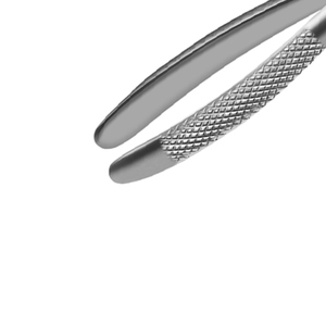 Forceps d'extraction dentaire manuel de haute qualité, neuf, pour les molaires inférieures, les dents de sagesse, pince à retirer les dents, en acier inoxydable - Product Image 4
