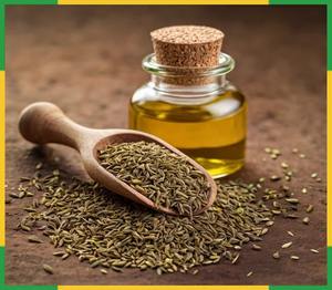 Aceite Esencial de Ajwain Natural de RAUTIMPEX INTERNATIONAL, 24 Meses de Duración, Uso Alimentario - Product Image 2
