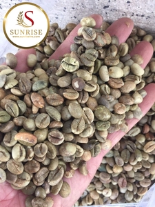 [FREE SAMPLE] Vietnam Robusta Green Coffee Bean-0084 902 431 106-Juli-GMO-Strong Flavor - Product Image 2