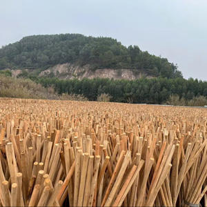 Gran cantidad de palos de madera redondos para la producción agrícola y la fabricación de muebles - Product Image 1