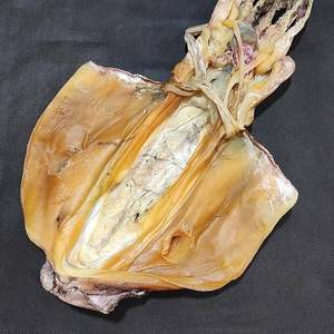 Squid seco al sol - Product Image 4