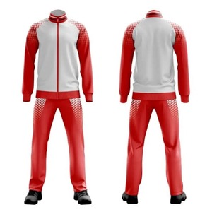 Sweat-shirts et pantalons en molleton d'hiver en coton, vêtements de rue, survêtement pour hommes, logo personnalisé, vente en gros, ensemble de vêtements de sport unisexe - Product Image 6