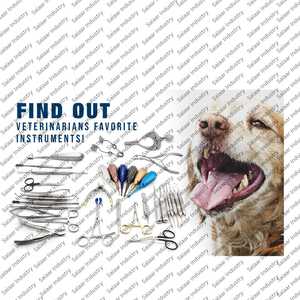 ชุดเครื่องมือถอนฟันสัตวแพทย์ 34 ชิ้น สำหรับทุกประเภทของงานทันตกรรมม้า เครื่องมือผ่าตัดสัตวแพทย์ - Product Image 4