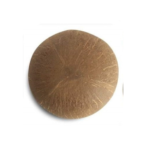 Tazón de coco Shell Entrega rápida Artesanía ecológica con conchas marinas personalizadas del fabricante de Vietnam - Product Image 5