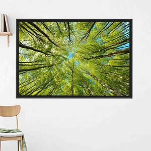 Toile imprimée : Affiche verte avec paysage d'arbres et de branches, 1P : encadrée en noir - Product Image 1