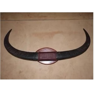 Par de Cuernos de Búfalo Naturales Pulidos a Mano de Alta Calidad, Decoración Ecológica para el Hogar, Estilo Antiguo, Imitación Negra Personalizada - Product Image 1