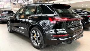 Cargador de coche con batería de litio de carga rápida NEDC para Au/di e-ton 50 I EV 2022 - Product Image 4