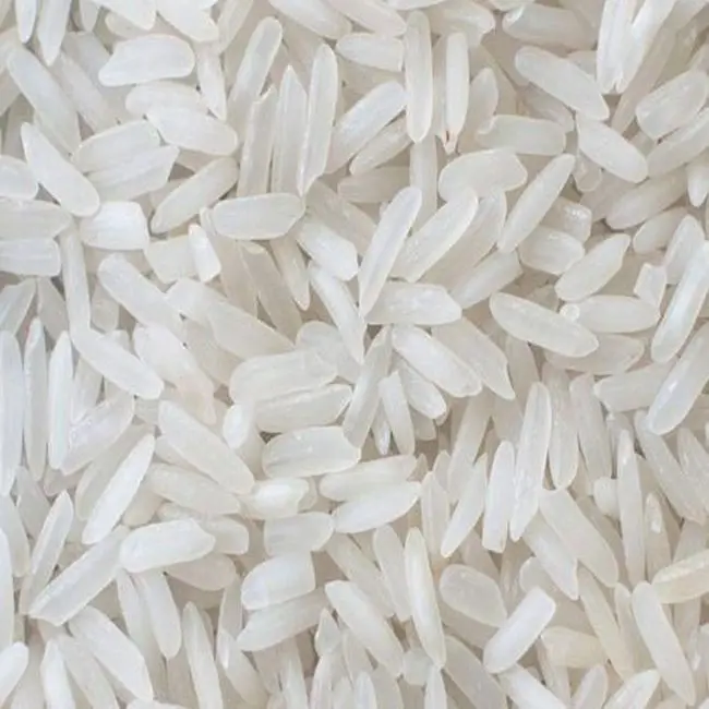 حبوب بيضاء قصيرة عالية الجودة بوني غير بسمتي بأفضل سعر من المورد والأرز من الهند