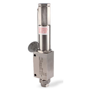 Válvula de Alivio de Fluoropolímero PTFE UHP Original Nueva RV-624-01 - Product Image 1