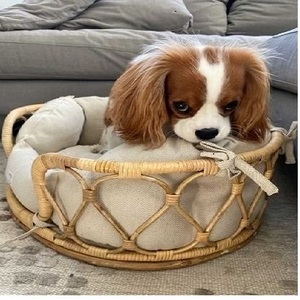 เตียงนอนสัตว์เลี้ยงทำมือทรงกลมทำจากไม้ไผ่สานธรรมชาติสุดหรูทันสมัยสำหรับการเดินทางที่มีลวดลายสัตว์สำหรับสุนัข - Product Image 1