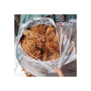 Gránulos de algas marinas orgánicas condimento en polvo ideal para hornear batidos sopas ingrediente nutricional rico - Product Image 6