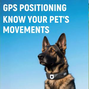 リアルタイム<span class=keywords><strong>GPS</strong></span>犬用追跡首輪 無制限範囲スマートペットトラッカー - Product Image 4