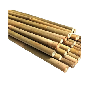 Postes de bambú natural asequibles, perfectos para decoración, manualidades y proyectos al aire libre - Product Image 1