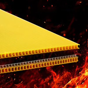 Hoja hueca Fabricante Vende 4 'x 8' Hojas de plástico corrugado PP Tablero de nido de abeja - Product Image 2