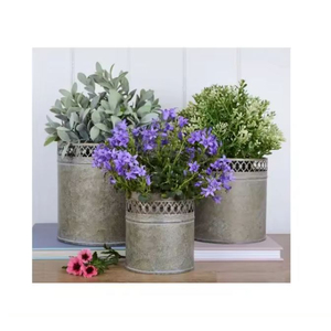 Nouveau Simple Élégant Maison Et Salon Décor Jardinières Galvanisé Suspendus Pots De Fleurs Décor À La Maison Navires Ménage Jardinières - Product Image 4