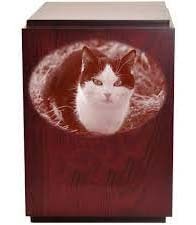 โกศไม้สำหรับงานศพแมวและสุนัขทำด้วยมือสำหรับงานศพสัตว์เลี้ยง - Product Image 2