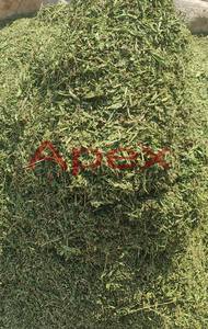 Hojas de Stevia Apex International, Hojas de Stevia Secas, Fabricante de Rajasthan, India - 24 Meses de Duración, Almacenar en un Lugar Seco - Product Image 3