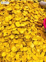 Zongedroogde Jackfruit Van Vietnam Natuurlijk Gedehydrateerd Fruit Voor Snackmix Dessertdecoratie En Geschenkverpakking