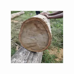 木材原木高品质森雅木材硬柚木圆木原木原木