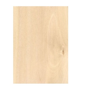 ไม้ฮอร์นบีมคุณภาพพรีเมียมสำหรับงานไม้และงานไม้แปรรูป จำหน่ายในราคาถูก - Product Image 2