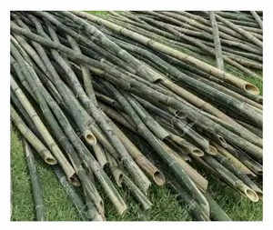 Precio directo de fábrica Estaca de bambú Estacas de plantas de bambú Estacas de bambú Tamaño personalizado con el mejor precio