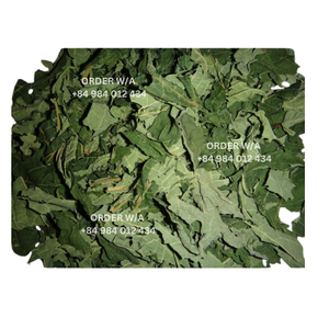 ใบมะละกอแห้งเหมาะสำหรับชามะละกอและซื้อเป็นกลุ่มฟาร์มออร์แกนิกในเวียดนาม - Product Image 3