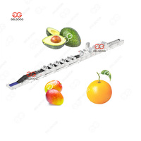Gelgoog Automatische Bellenwasmachine voor Groenten, Appels, Mango's, Fruit en Groenten, inclusief reiniging, drogen, sorteren en verpakken.