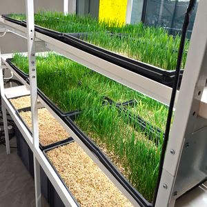 Système de culture hydroponique vertical multi-niveaux pour fourrage, plateau de germination, support de culture d'orge à vendre - Product Image 2