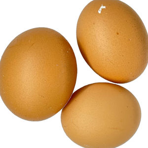 Œufs de table de poulet frais en vrac, qualité supérieure, haute fraîcheur, coquille brune, blancs, Thaïlande, riches en protéines et en saveur - Product Image 4