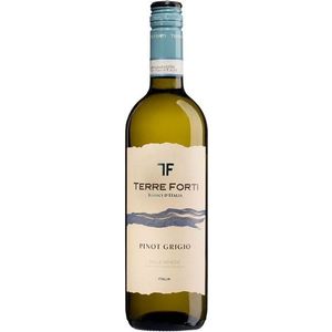 TERRE FORTI Pinot Grigio Delle Venezie DOC 750ml Crisp Elegant Italian White <b>Wine</b> 6 Bottles Per Box Made in Italy - Product Image 1