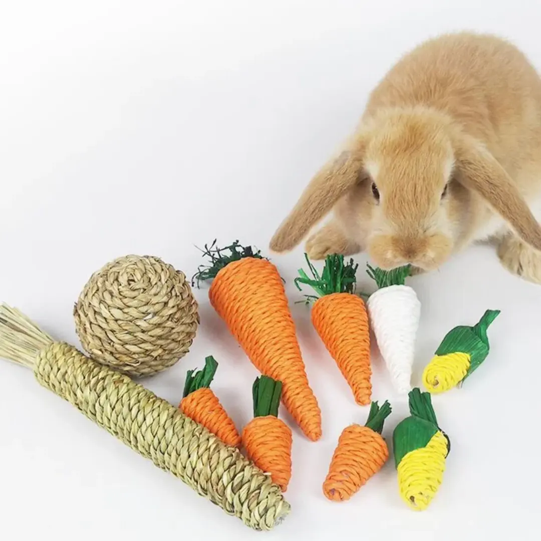 Hámster conejillo de indias pequeño conejo Natural masticar juguete hierba bola tejida masticar sauce rama hierba juguete