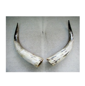 Viking corne à boire authentique tasse rustique guerrier médiéval tankard gobelet fait à la main sculpté navire hydromel nordique naturel - Product Image 3