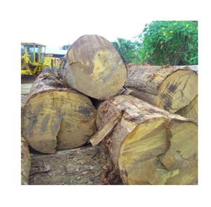 Madera de Acajou asequible a la venta, hojas de madera duraderas de primera calidad a precios bajos para pedidos a granel y construcción - Product Image 5