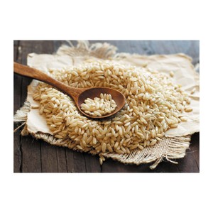 Arroz redondo Premium Equilibrio perfecto de sabor y nutrición Ideal para hoteles, restaurantes y hogares - Product Image 4